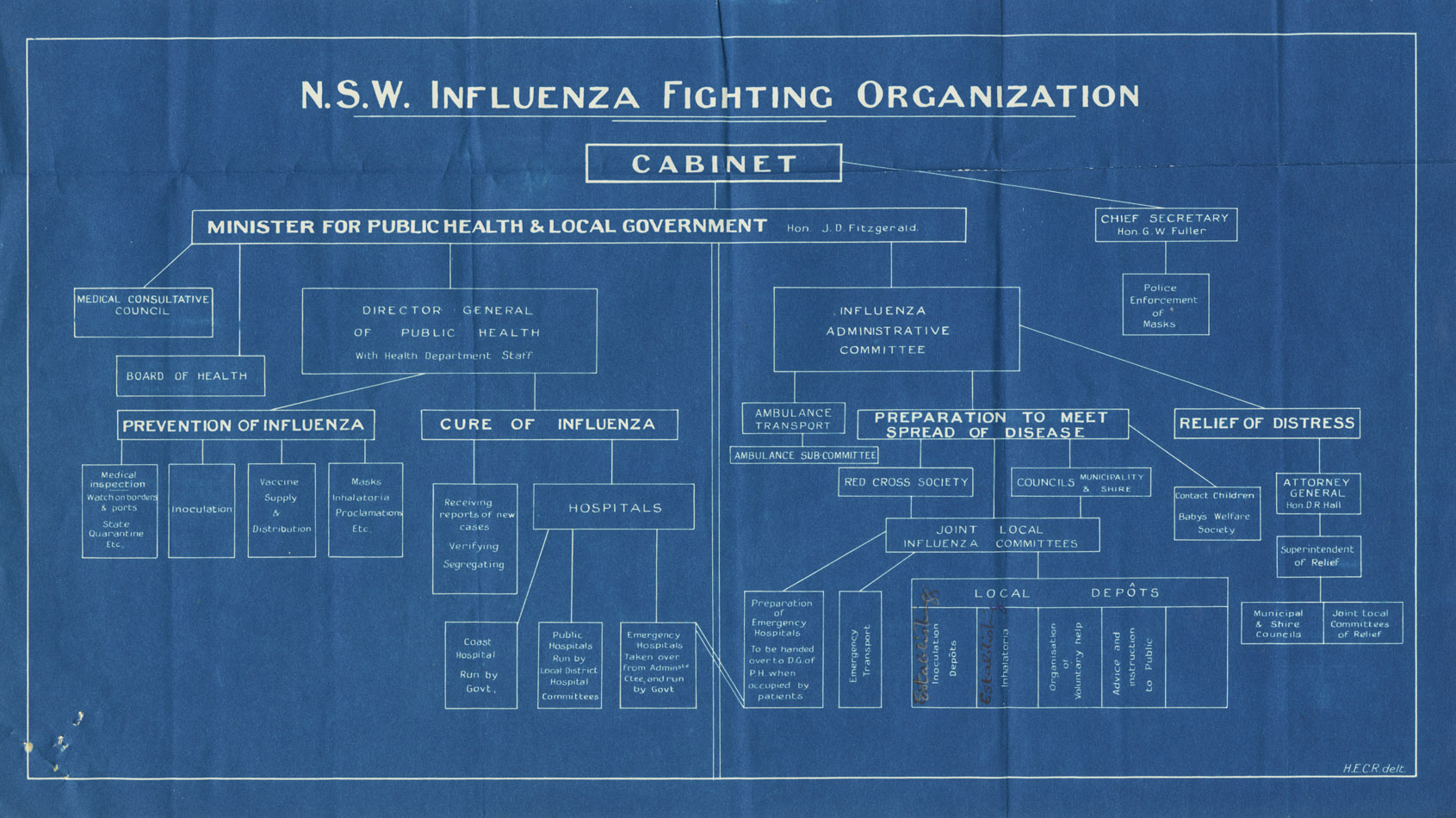 NSW Influenza Organizational Management